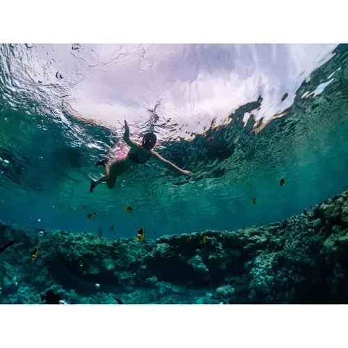 Snorkeling veido kaukė (nardymo kaukė) l/xl juoda