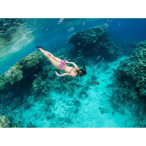 Snorkeling veido kaukė (nardymo kaukė) l/xl juoda