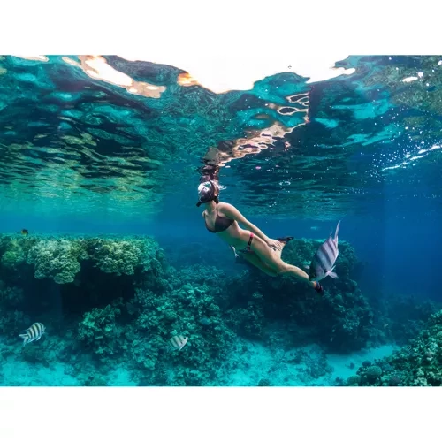 Snorkeling veido kaukė (nardymo kaukė) l/xl juoda