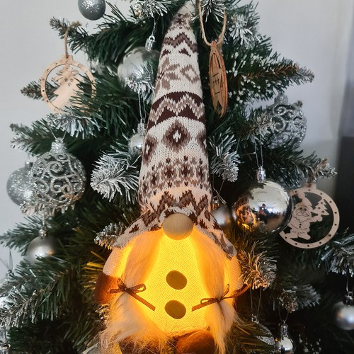 Pilkas stovintis nykštukas su led 23754