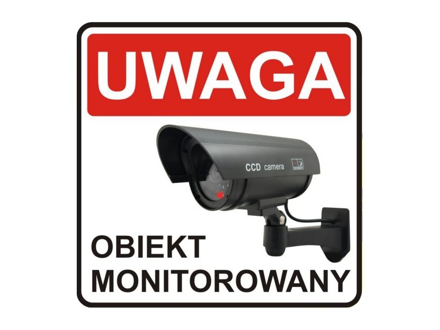 Stebėjimo kamera CEE IR1100S
