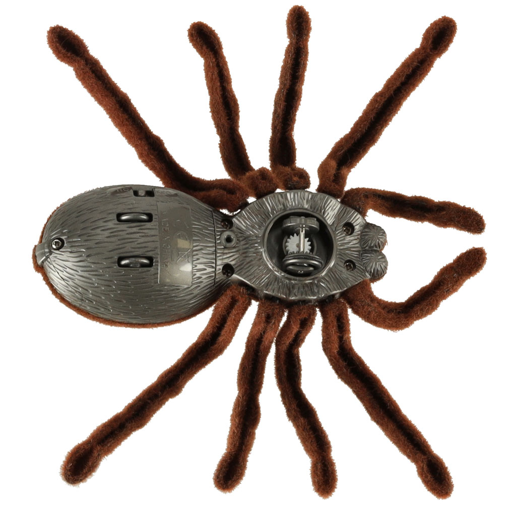 Voras tarantulas