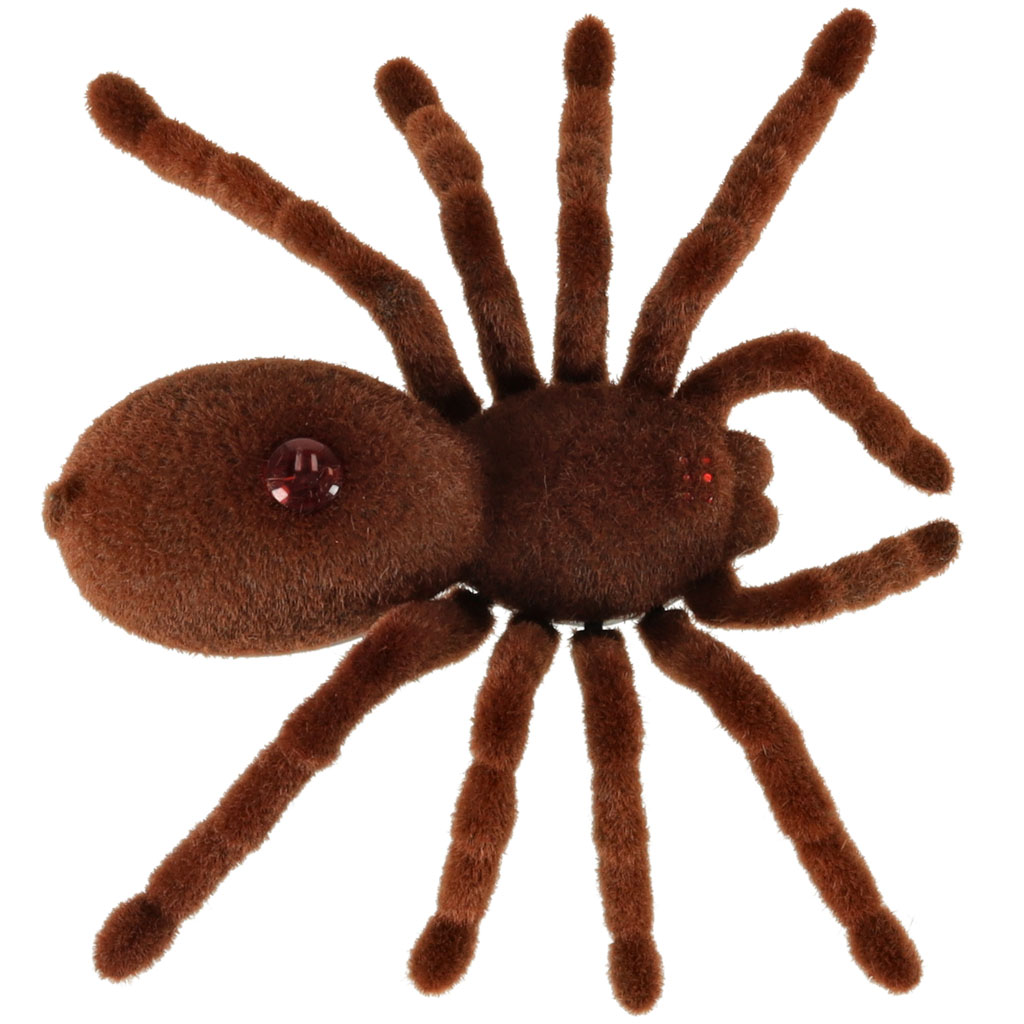 Voras tarantulas