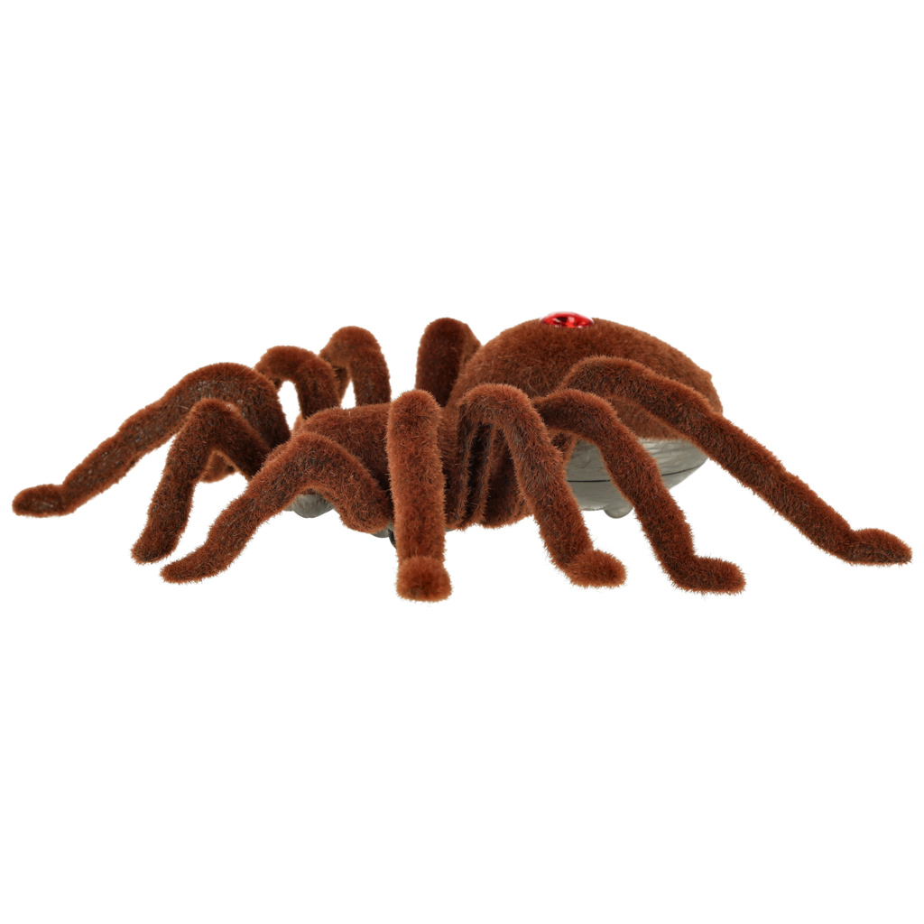 Voras tarantulas
