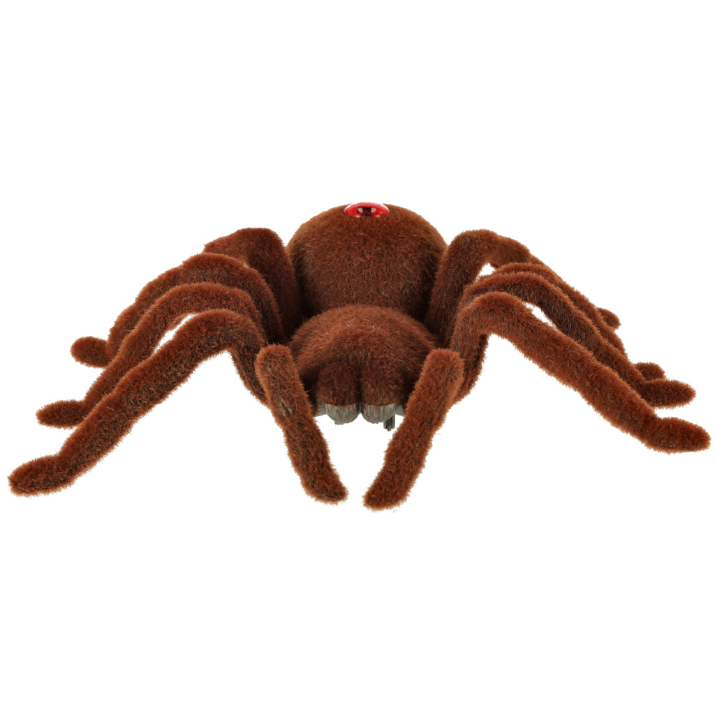 Voras tarantulas