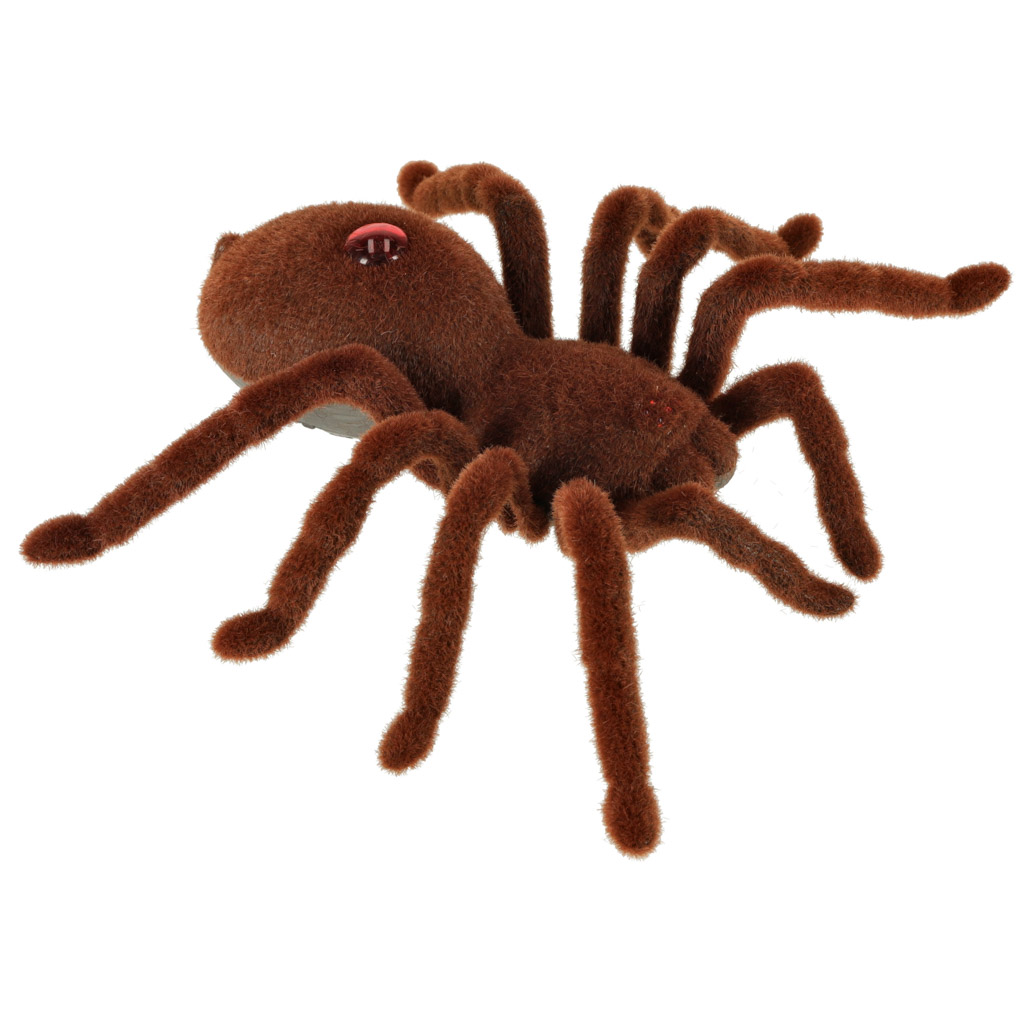 Voras tarantulas