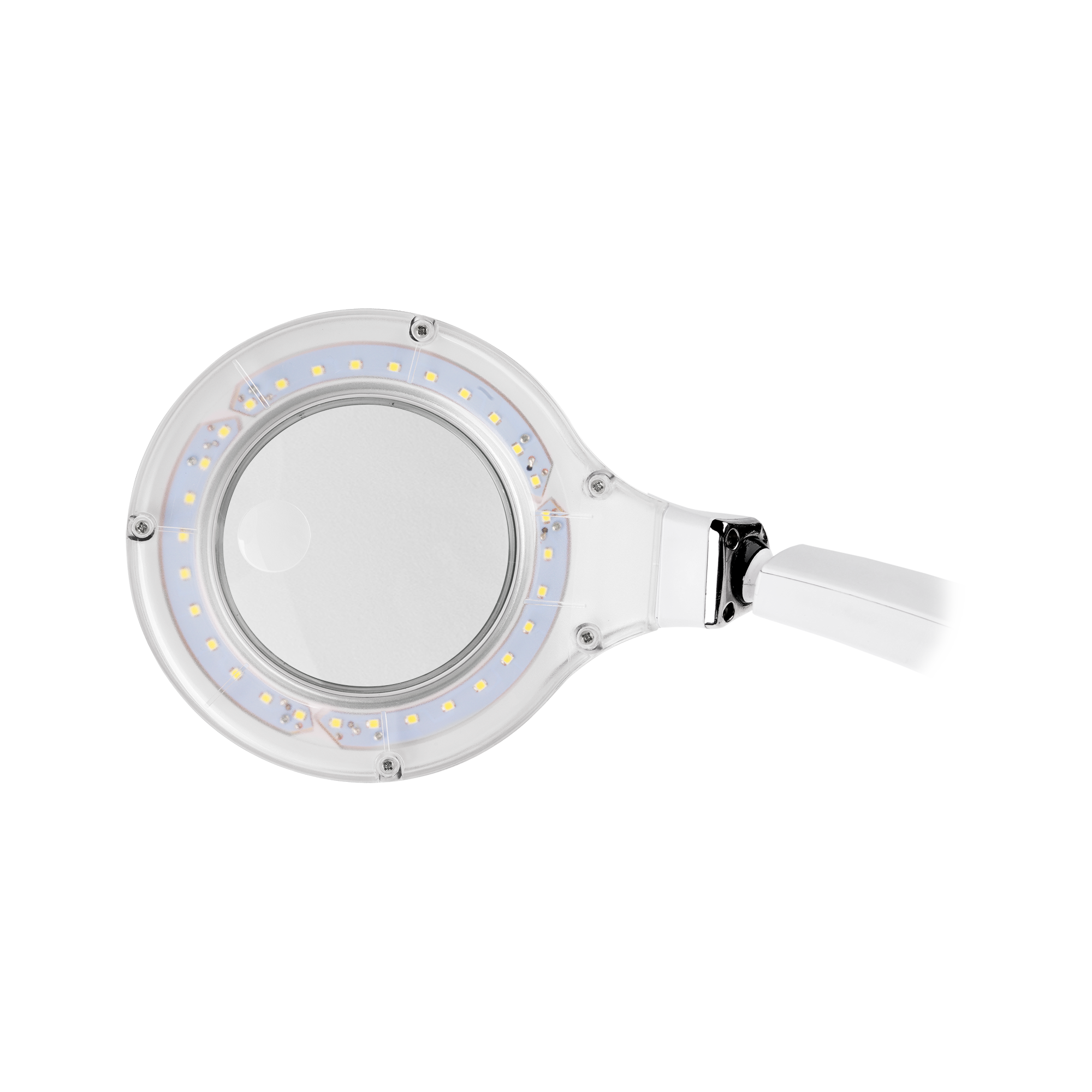 Lempa su padidinamuoju stiklu Rebel NAR0298-2, LED, pastatomas, 6W