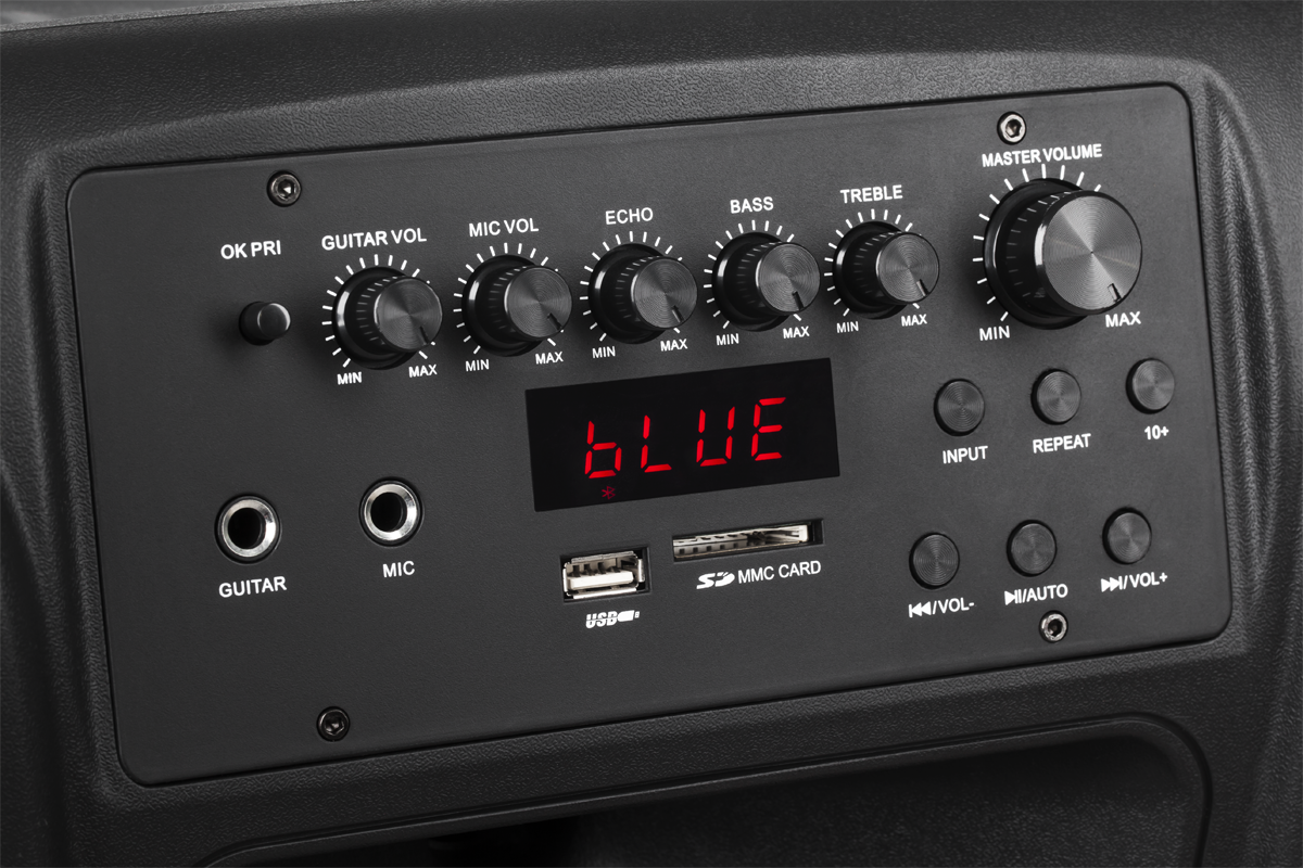 Aktyvi kolonėlė su 2 belaidžiais mikrofonais, SD, Bluetooth, USB, 12 colių, 40W