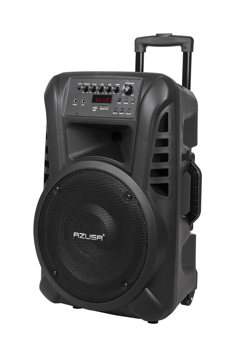 Aktyvi kolonėlė su 2 belaidžiais mikrofonais, SD, Bluetooth, USB, 12 colių, 40W