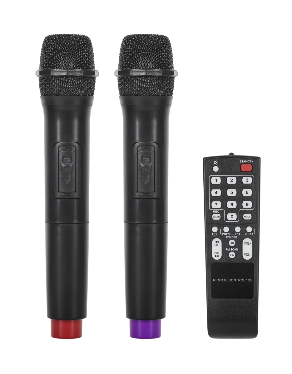 Aktyvi kolonėlė su 2 belaidžiais mikrofonais, SD, Bluetooth, USB, 12 colių, 40W