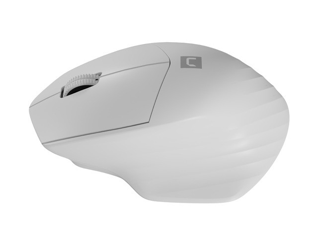 Belaidė pelė natec mouse siskin 2 wireless