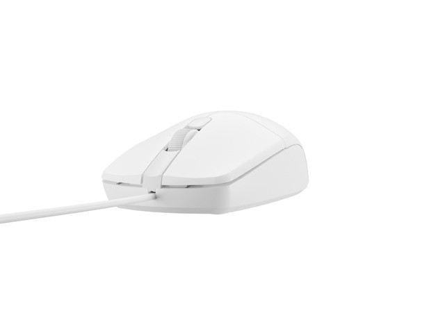 Laidinė pelė natec ruff 2 white
