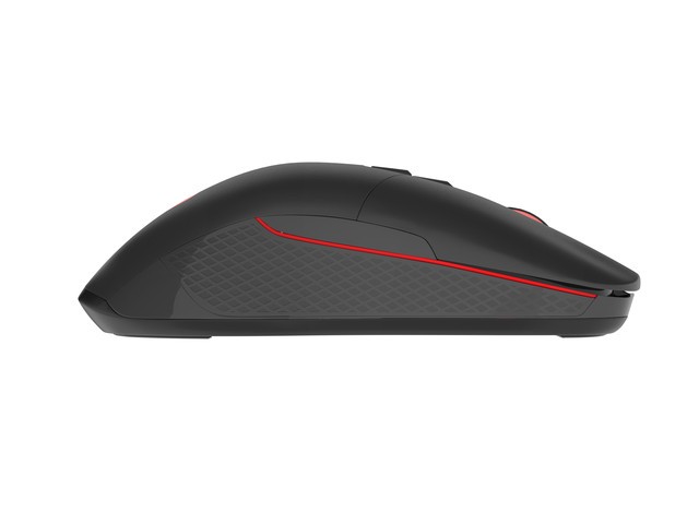 Belaidė pelė genesis zircon 330, juoda