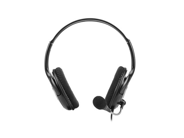 Natec bear 2 black