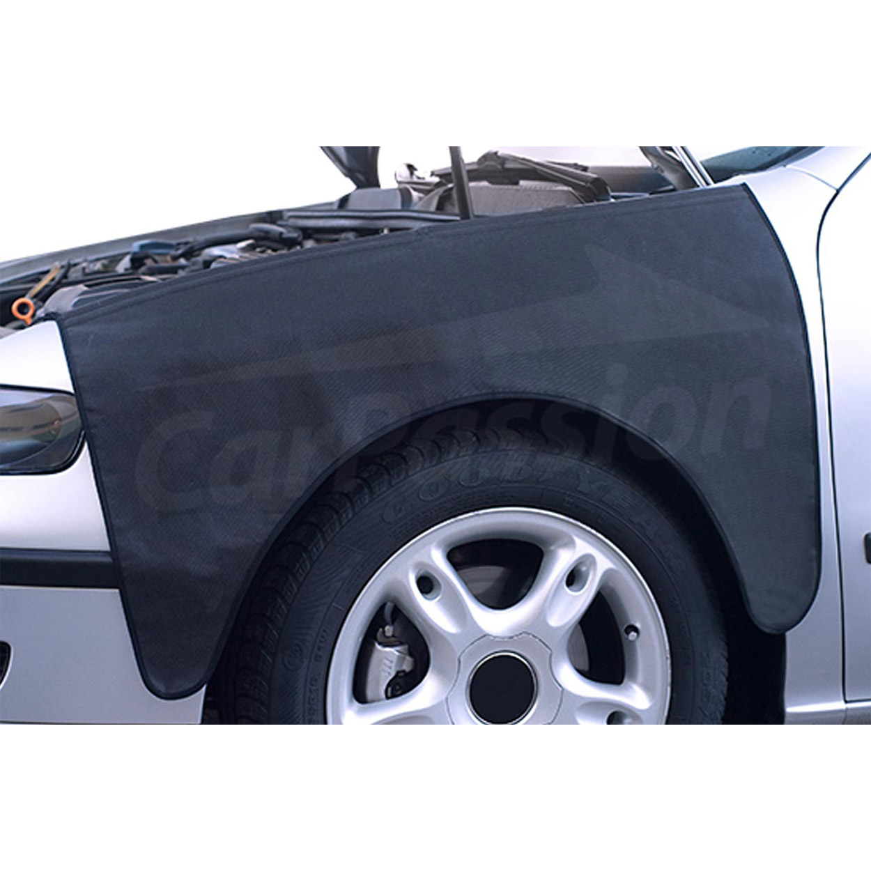 Automobilio uždangalas carpassion strong