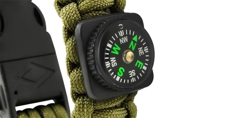 Apyrankė trizand survival green
