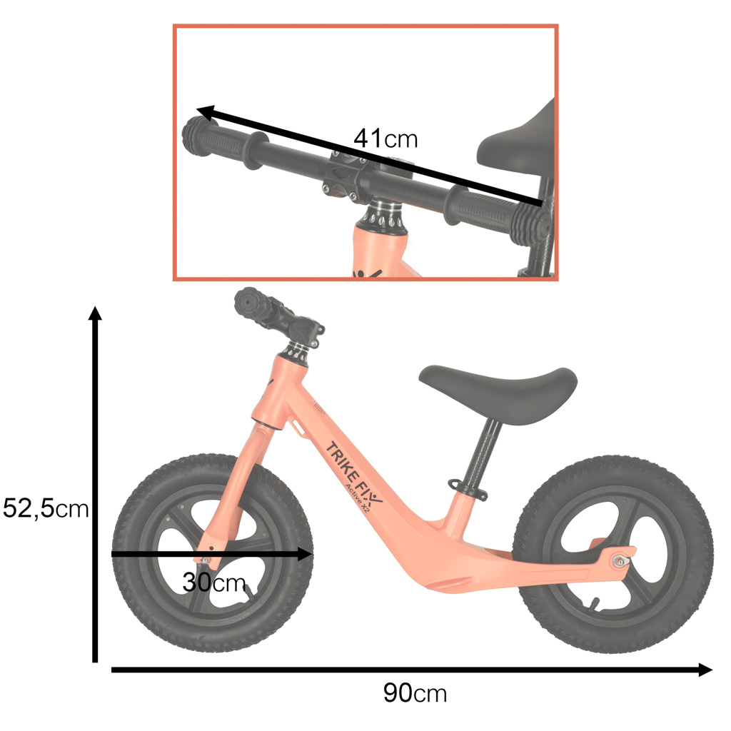 Balansinis dviratis Trike Fix Active X2