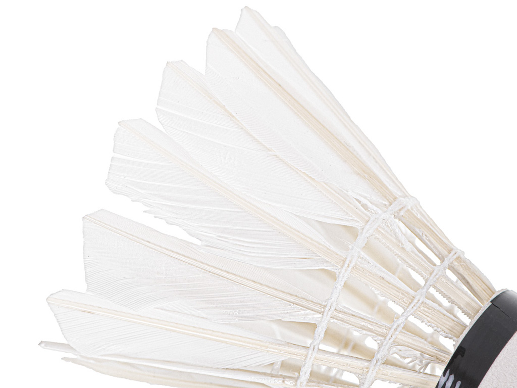 Plunksninės badmintono strėlės 8,5 cm