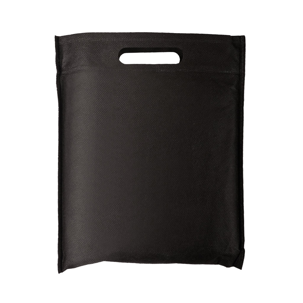Priekinio stiklo dangtis 260 × 112 cm 2