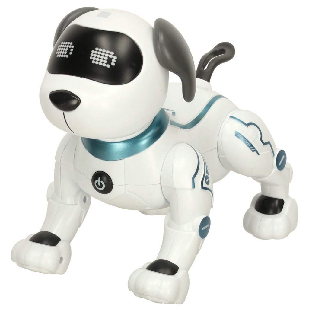 RC robotas šuo