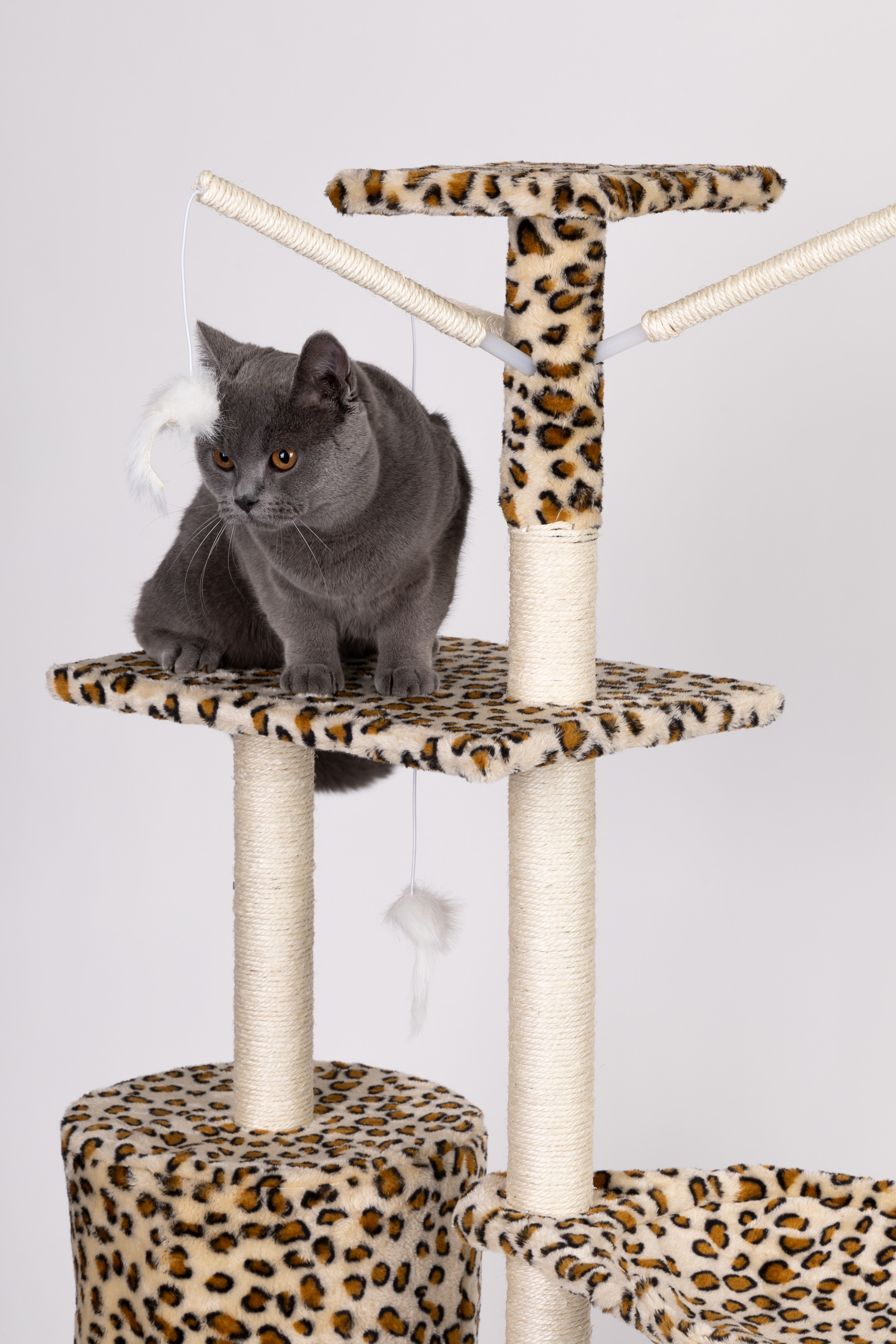 Kačių draskyklė panther, xl, ruda