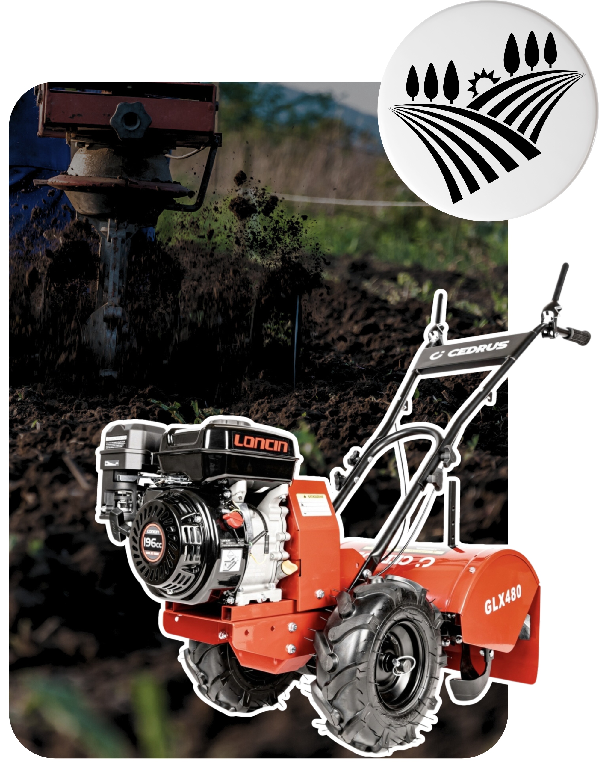 Benzininis kultivatorius Cedrus Loncin H200