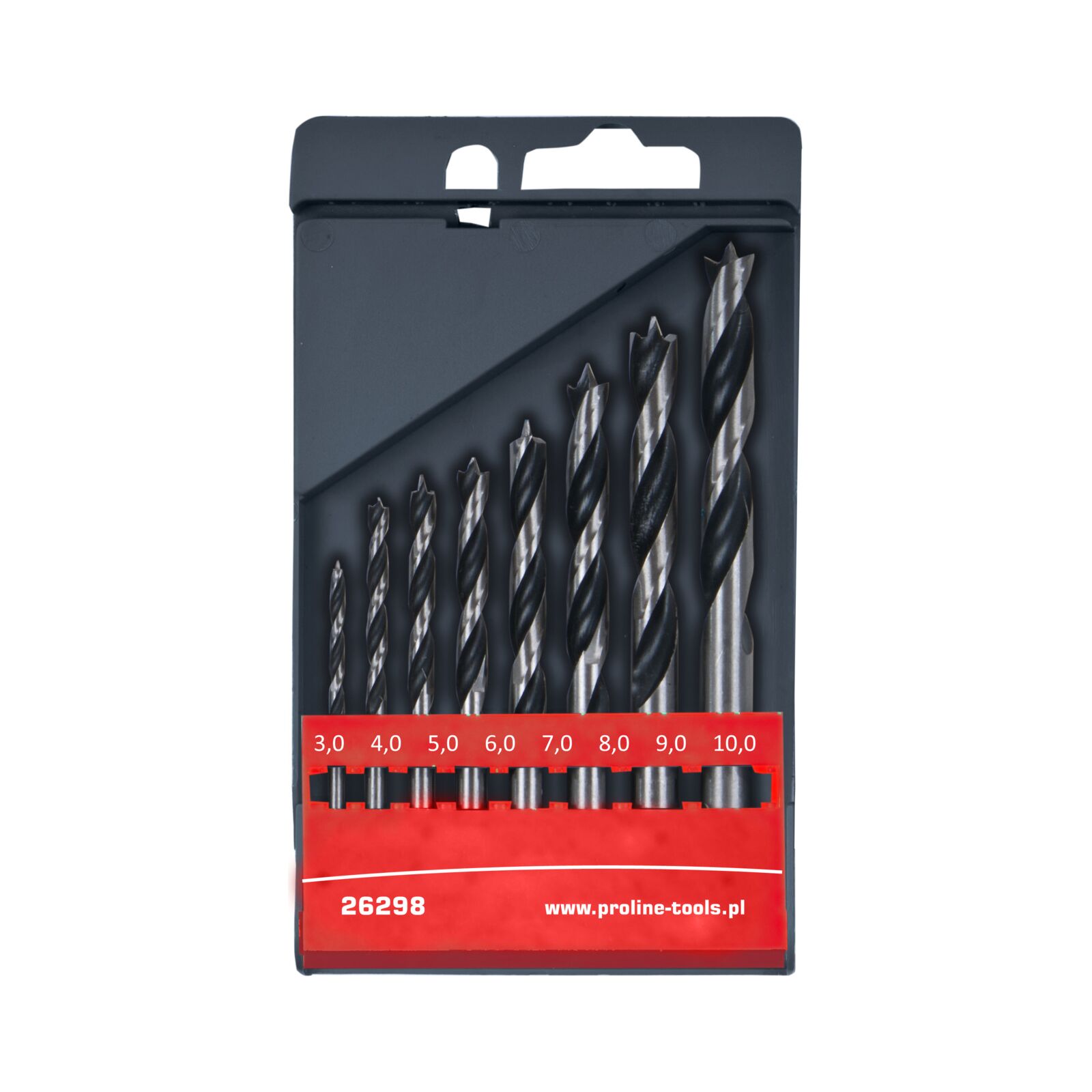 Medienos grąžtų rinkinys 3-10 mm 8gb proline