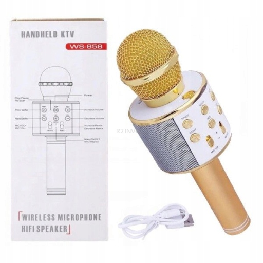 Belaidis karaokės mikrofonas - bluetooth garsiakalbis