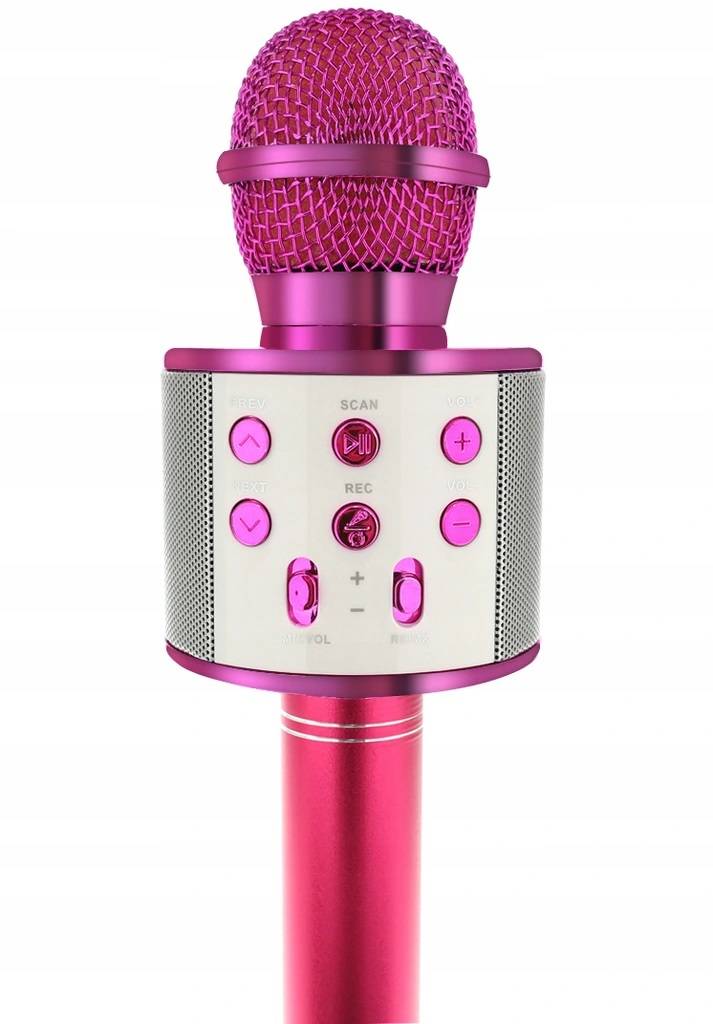 Belaidis mikrofonas bluetooth, karaokės garsiakalbis