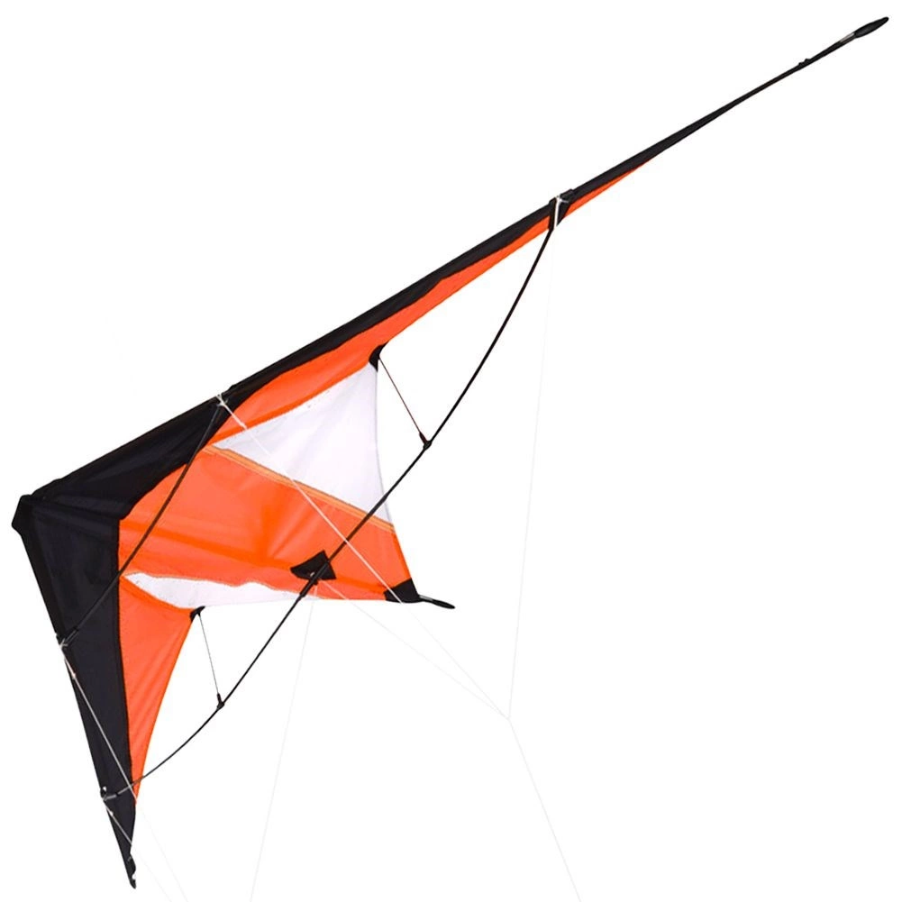 Aitvaras 120×50 cm 2