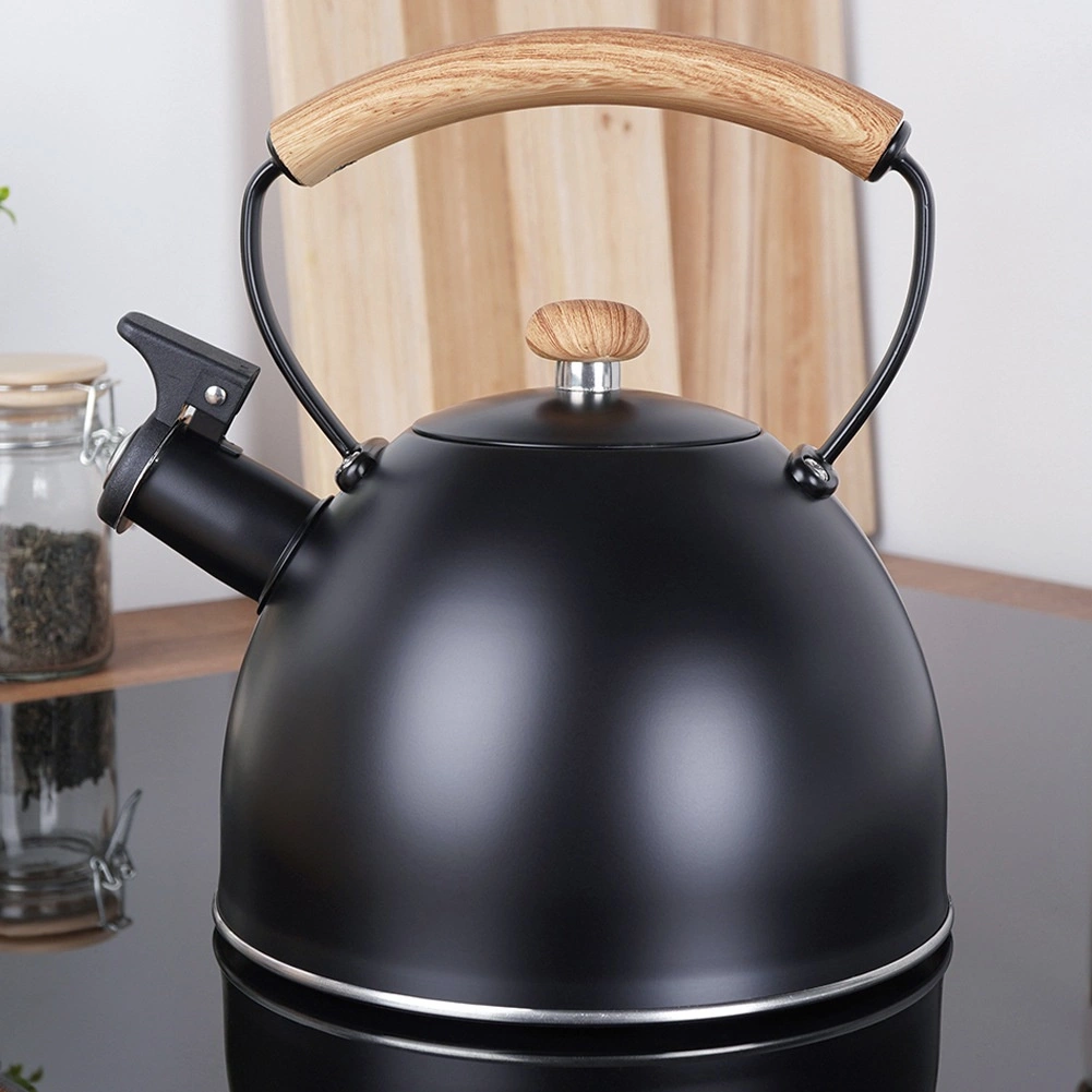 Plieninis virdulys su švilpuku vilde, 2,5 l, juodas 1