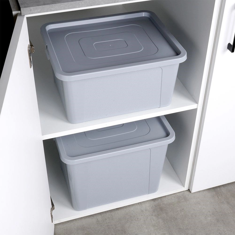 Plastikinė vilde saugojimo dėžė su dangčiu 30 l