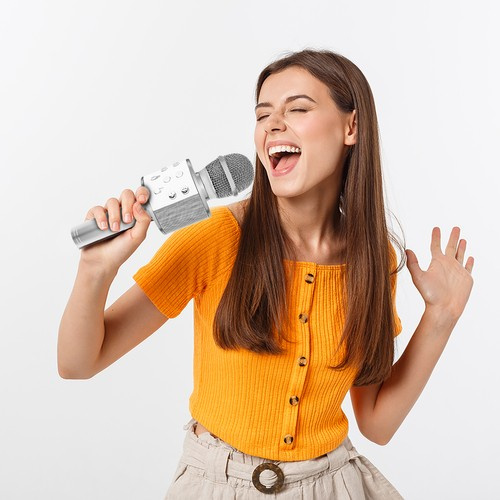 Vaikiškas karaoke mikrofonas su garsiakalbiu