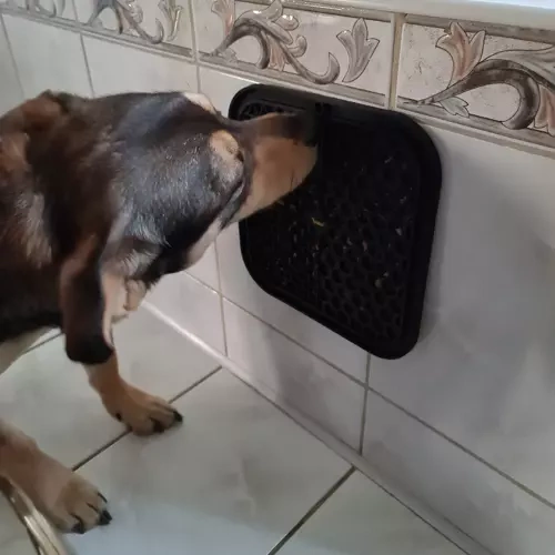 Purlov lėto valgymo ir laižymo kilimėlis šunims, juodas