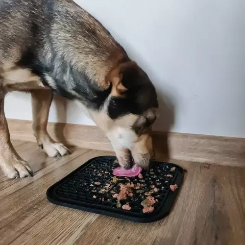 Purlov lėto valgymo ir laižymo kilimėlis šunims, juodas