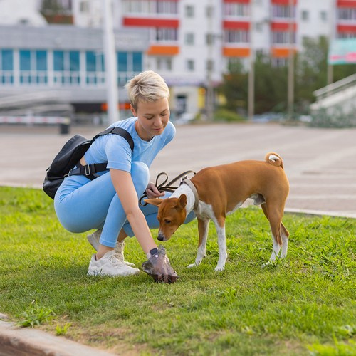 Gyvūnų maišeliai su dėklu Purlov