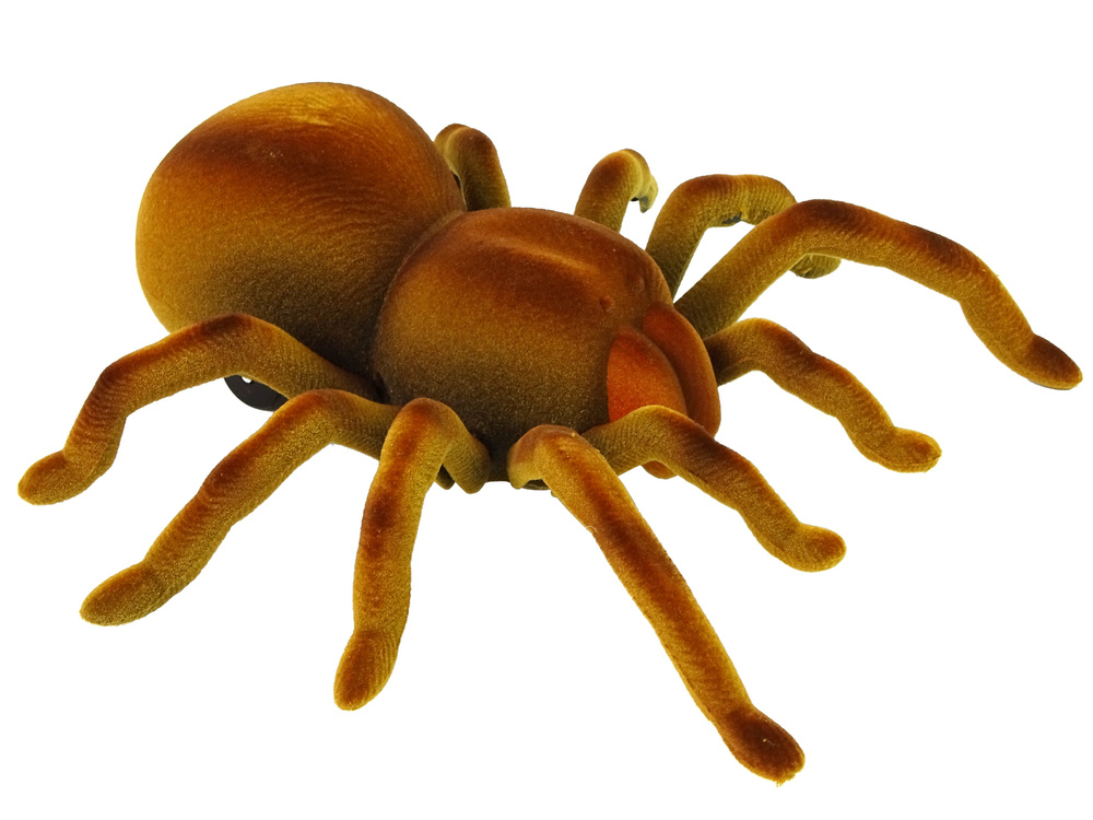 Lean Toys Nuotolinio Valdymo Pultas Spider Tarantula Infrared Brown R/C