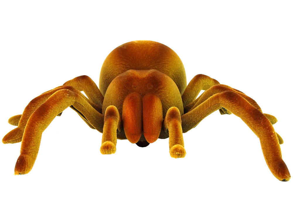 Lean Toys Nuotolinio Valdymo Pultas Spider Tarantula Infrared Brown R/C