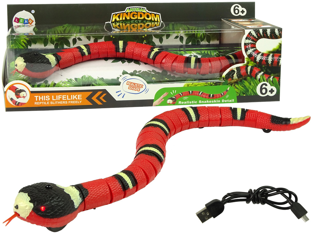Radijo bangomis gyvatė animal kingdom, raudona