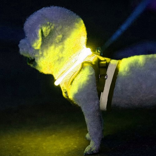 LED antkaklis Purlov 24200, 20-70 cm