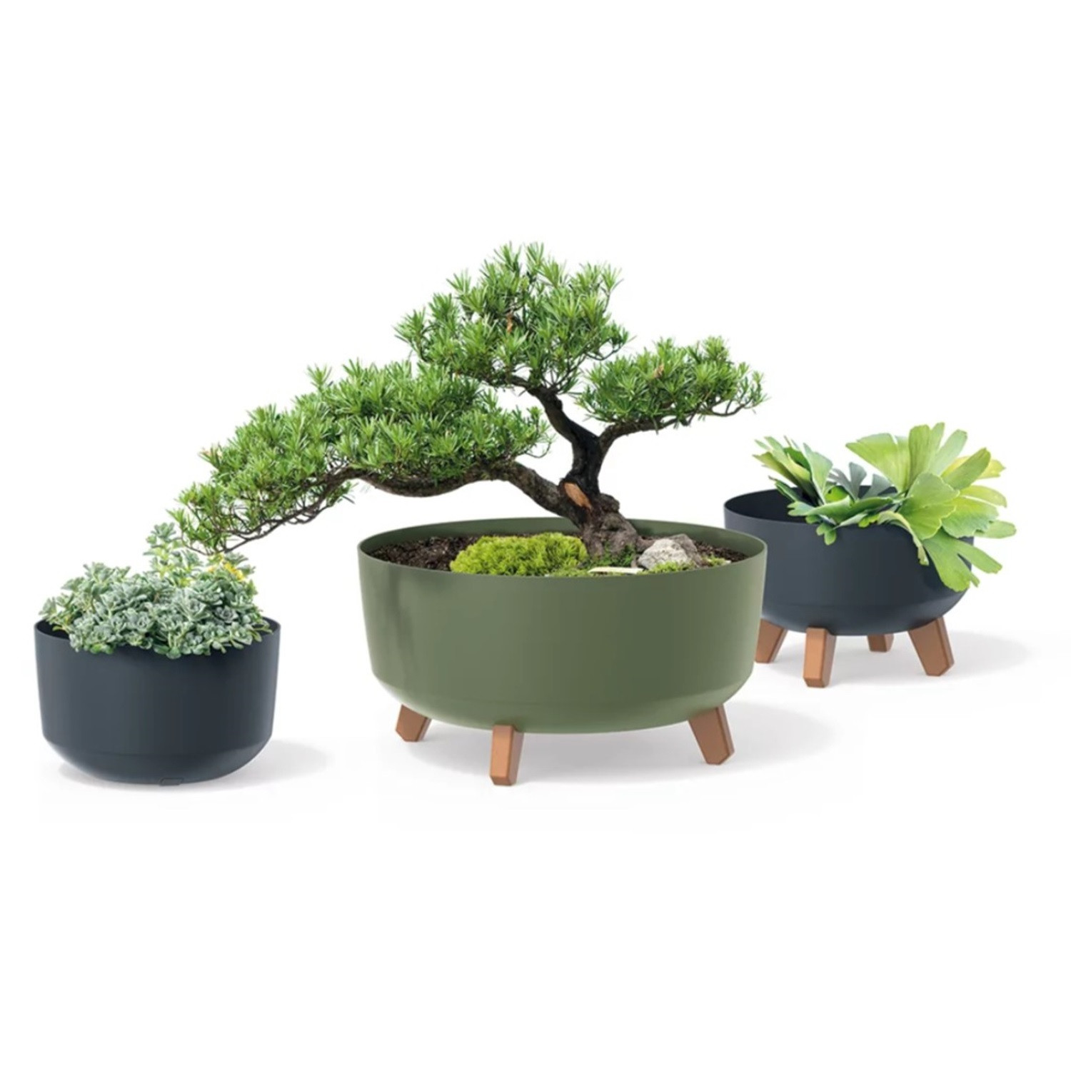 Gėlių vazonas Prosperplast Gracia DGRL400L-443U, 38x 19.5 cm