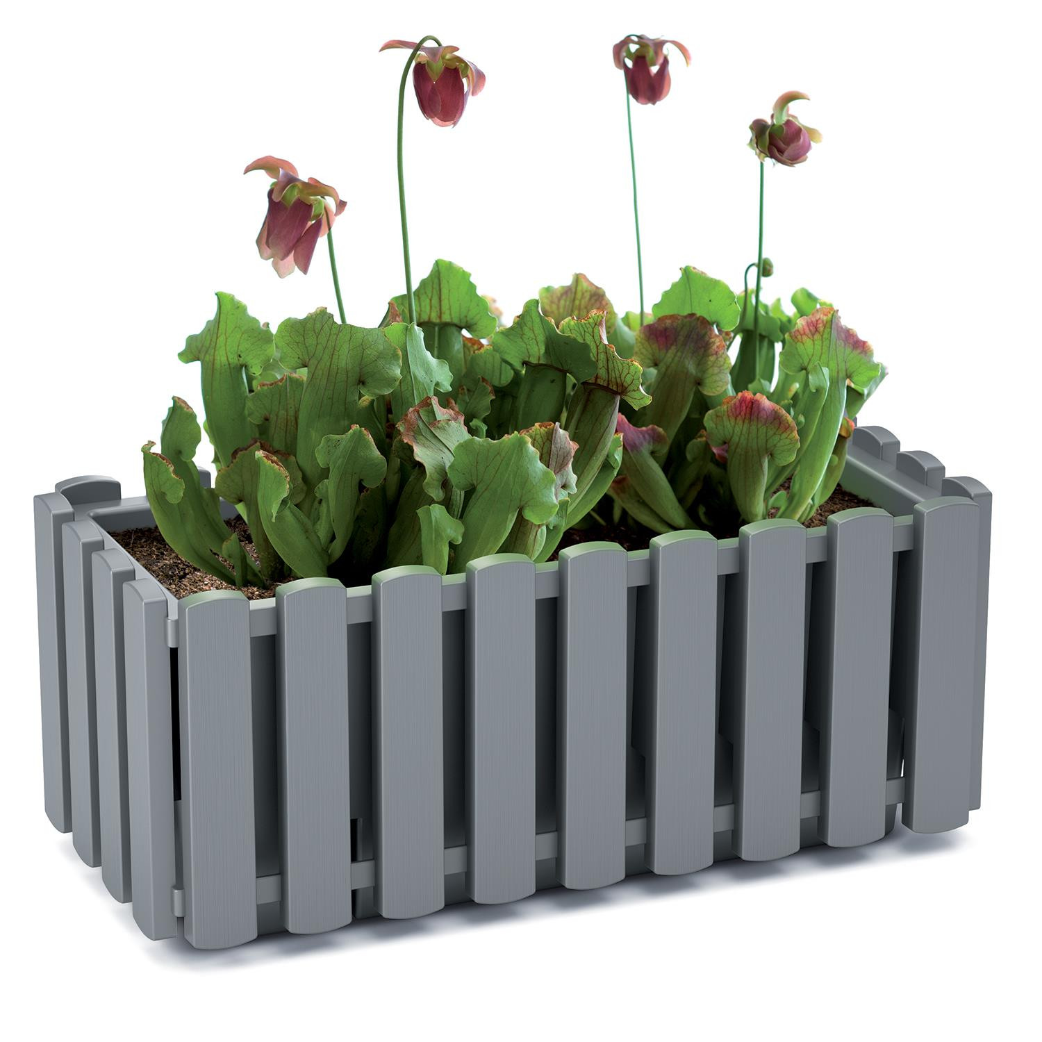 Gėlių vazonas Prosperplast Boardee Fencycase DDEF400-R222, rudas
