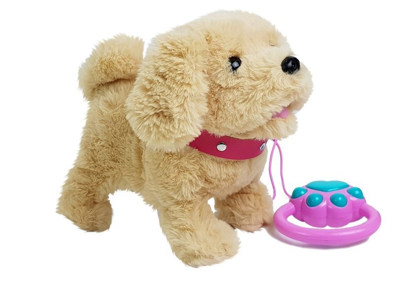 Interaktyvus šuniukas su priedais lean toys