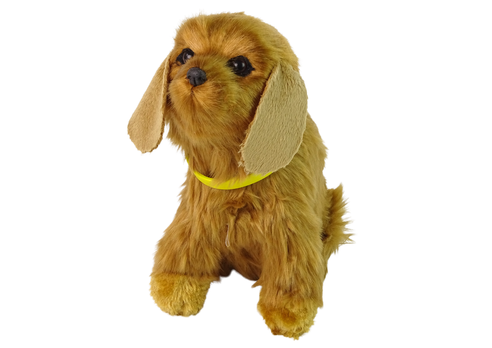 Interaktyvus šuo cocker spaniel, rudas