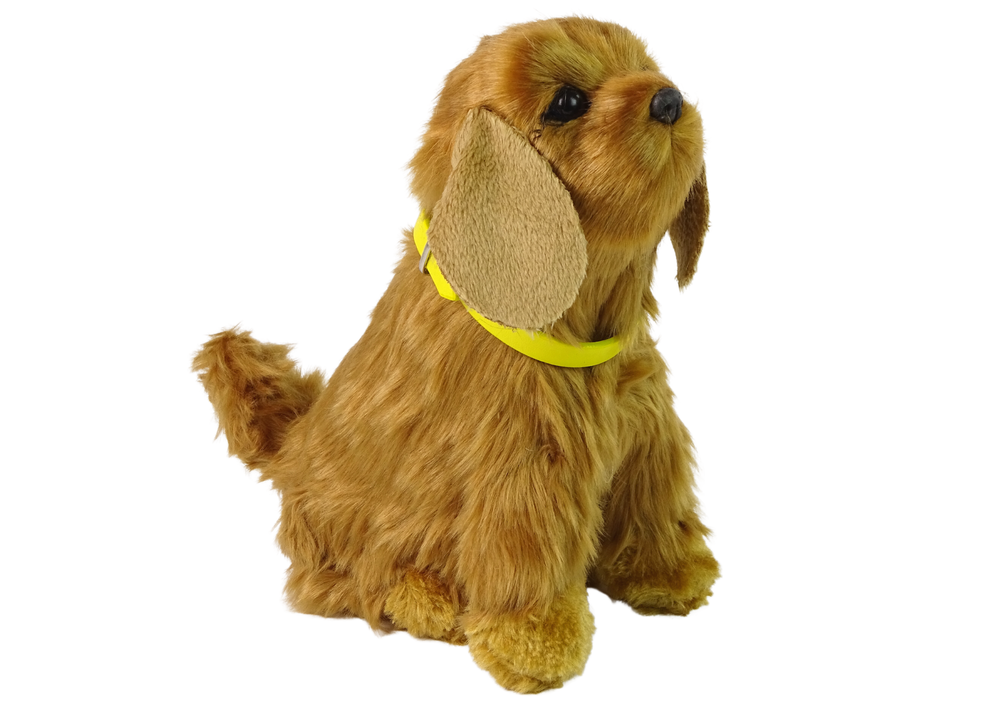 Interaktyvus šuo cocker spaniel, rudas