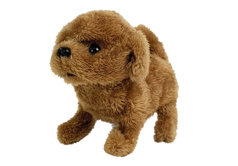 Interaktyvus šuo lean toys