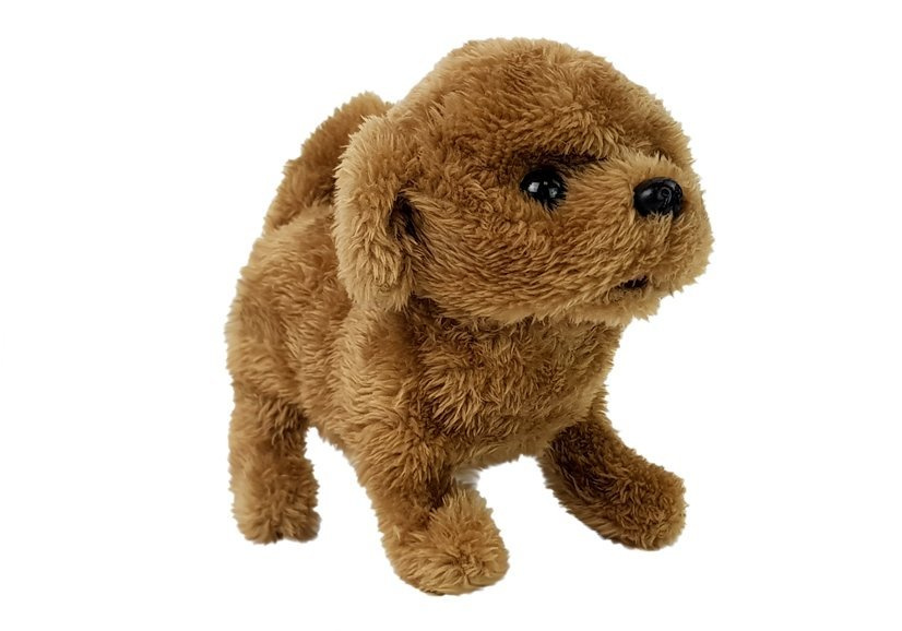 Interaktyvus šuo lean toys
