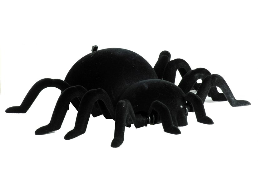 Interaktyvus nuotoliniu būdu valdomas voras tarantulas