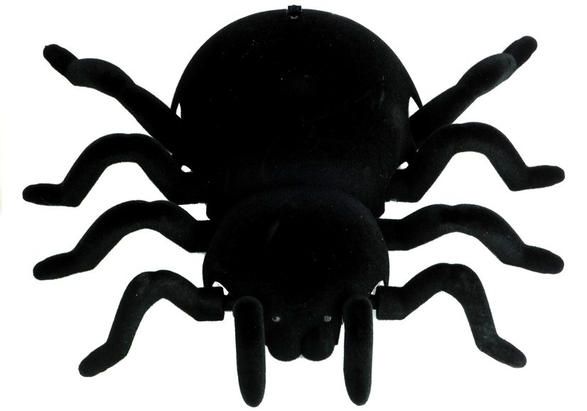Interaktyvus nuotoliniu būdu valdomas voras tarantulas