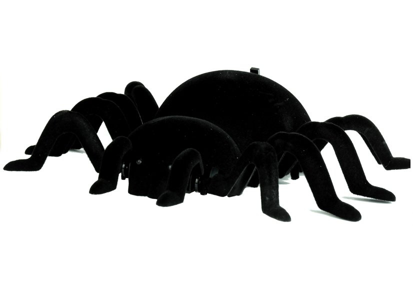 Interaktyvus nuotoliniu būdu valdomas voras tarantulas
